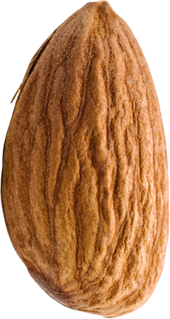slider-elements-badam-img-01