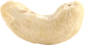 slider-elements-kaju-rounded-img-02